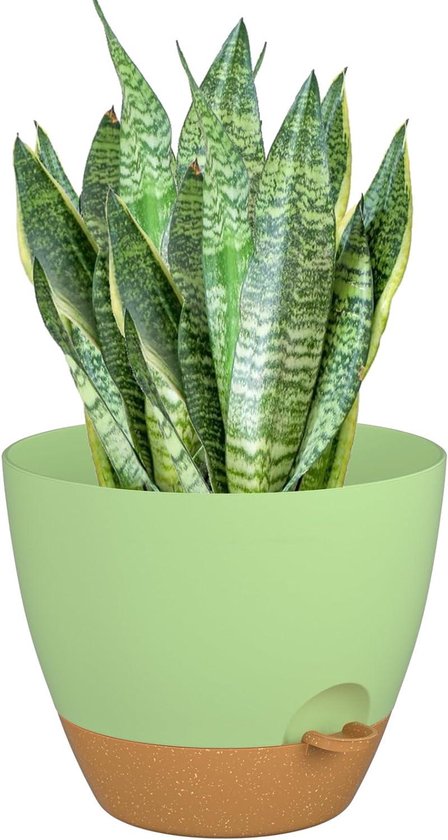 Santino ASTI Bloempot, zelfwaterende bloempot, met waterpeilindicator, rond, premium kwaliteit, voor planten, bloemen en kruiden, diameter 30 cm, hoogte 23 cm, 12 l, goud/zwart