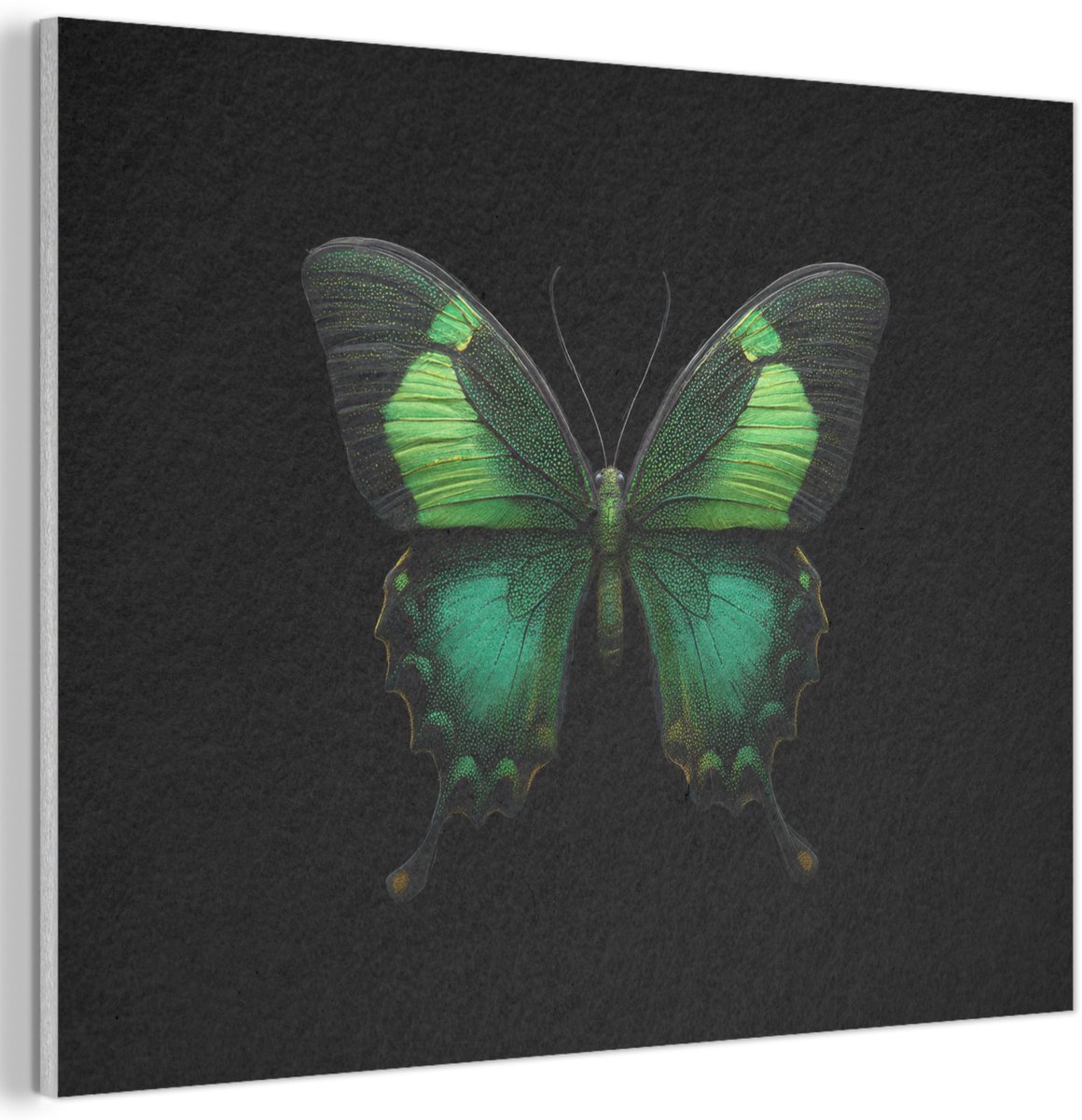 Akoestisch wandpaneel 70x50 cm - Vilt schilderij Vlinder - Groen - Opvallend - Akoestische panelen - Geluidsdempende wanddecoratie - Geluidsisolatie woonkamer - Muurdecoratie geluidspanelen