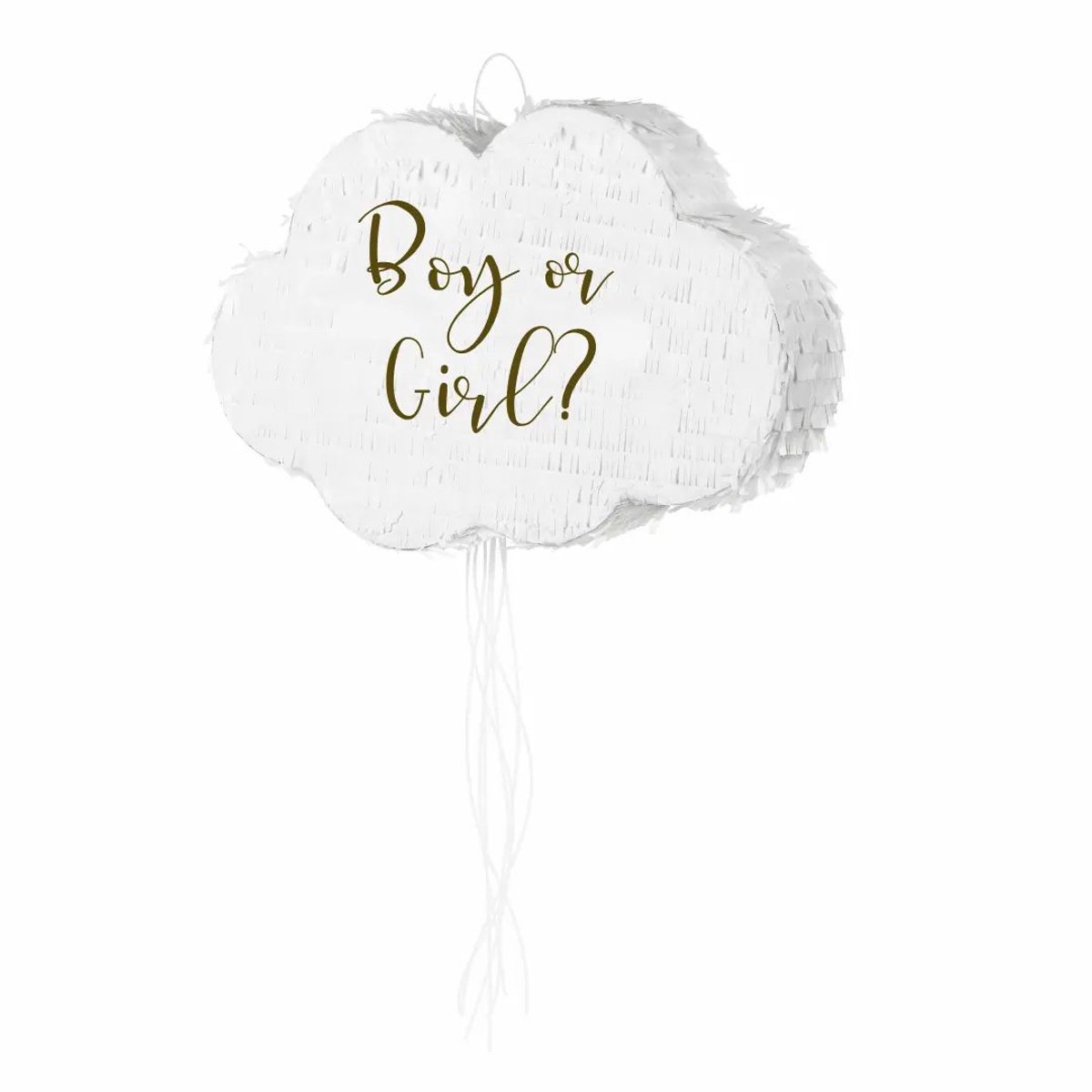 Gender Reveal Pinata Boy or Girl? | Blauw en Roze | Geslachtsonthulling | Bekend making geslacht