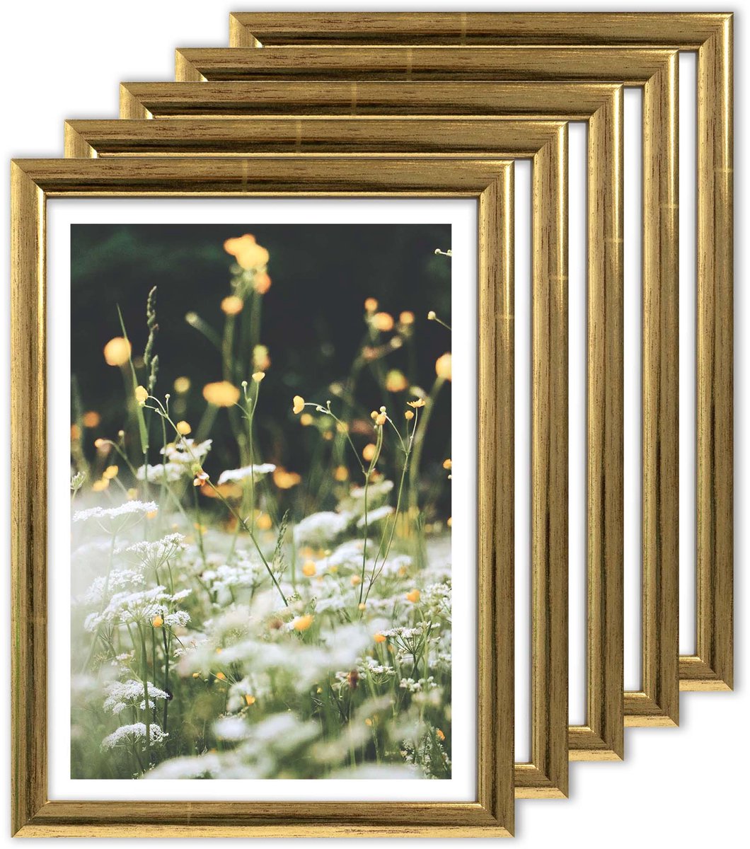 Set van 5 Houten Fotolijsten Goud 21x30 cm