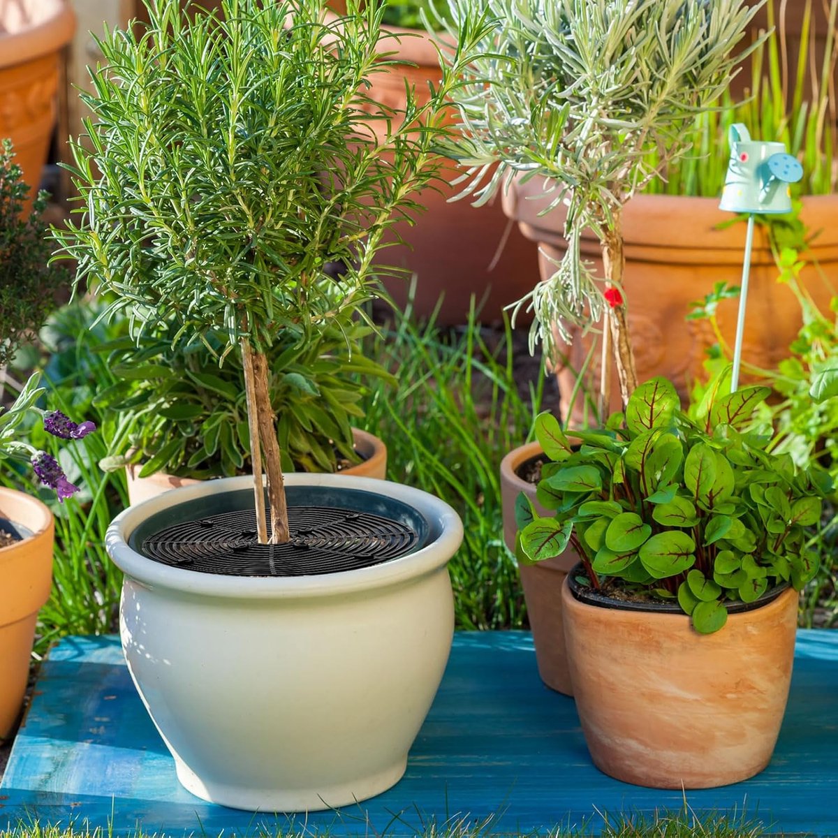 Bloempotroosters - Plantenbeschermingsrooster - Polypropyleen - Bloempotbescherming - Verstelbare - met Bouten - voor Beschermt Planten Tegen Katten, Kinderen en Vuil - 30 cm - Zwart — cadeau in Cadeau-ideeën - foto 5