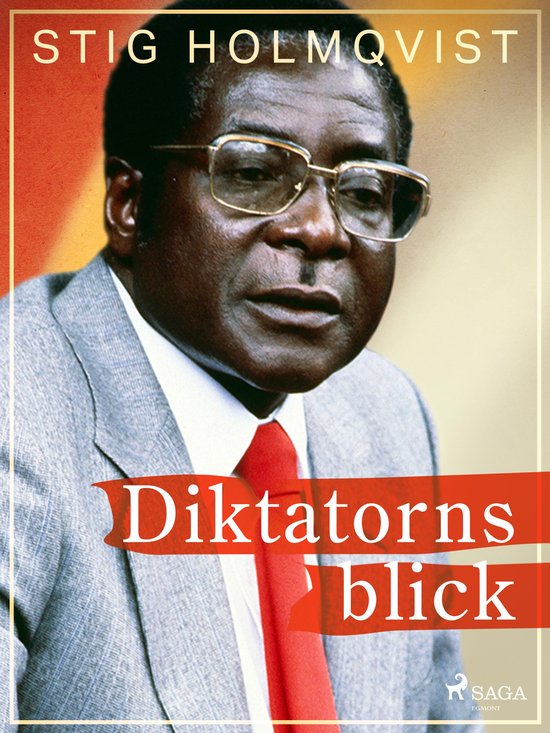 Diktatorns blick - cover