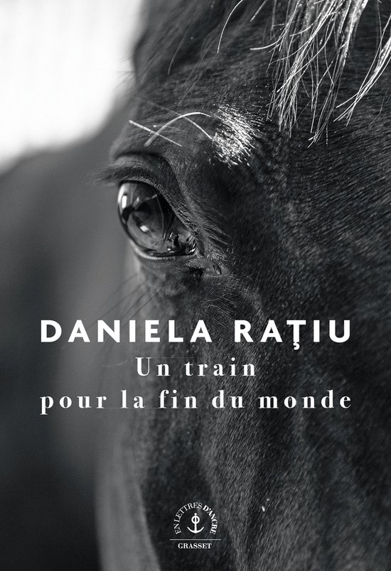 Boekomslag met close-up van een paardenoog. Tekst: DANIELA RAȚIU Un train pour la fin du monde.