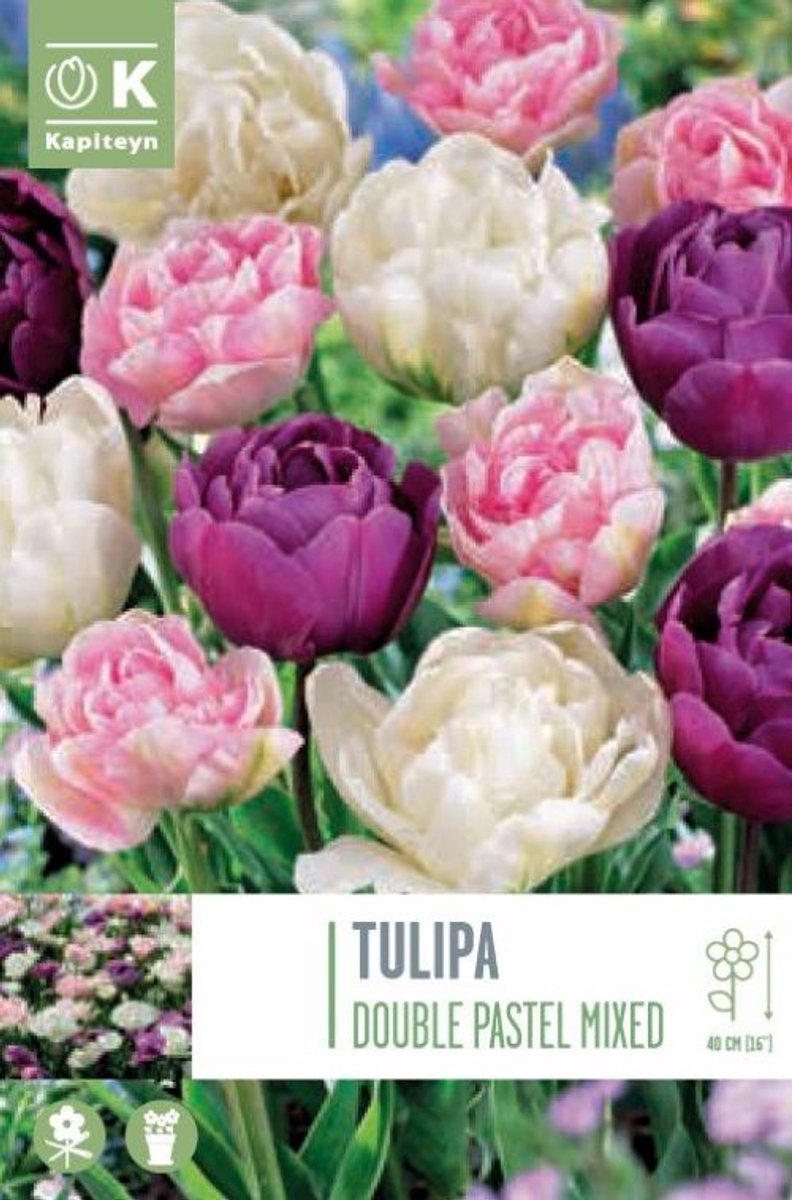Net tulpenbollen - Tulipa 'Double Pastel Mixed Colours' - roze, paarse en witte tulpen - 40 bollen