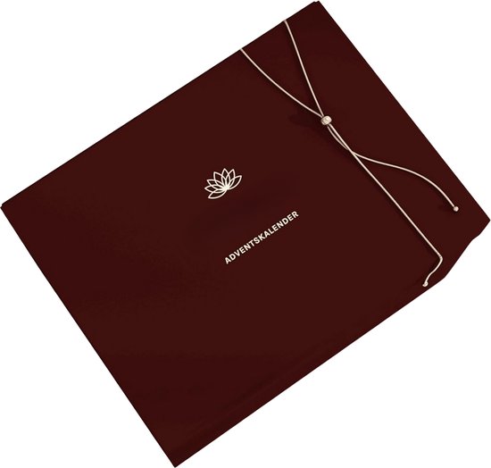 Calendrier de l'Avent Solacis - Calendrier de l'Avent 2025 - Calendrier compte à rebours - Cadeau de Noël - Cadeau Sinterklaas - Polly Pocket - Must pour le dernier mois !