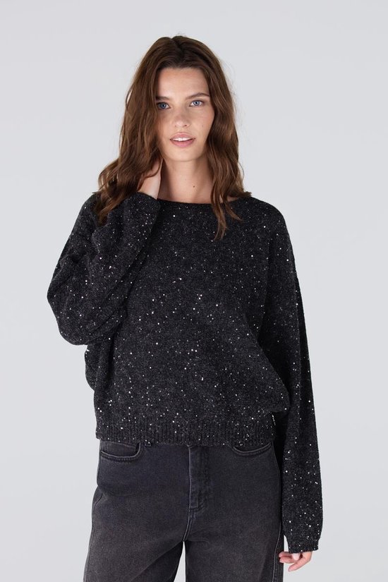 Jansen Amsterdam Anouk Trui Hk 151 Round Neckline Truien & vesten Dames - Sweater - Hoodie - Vest- Donkergrijs - Maat M