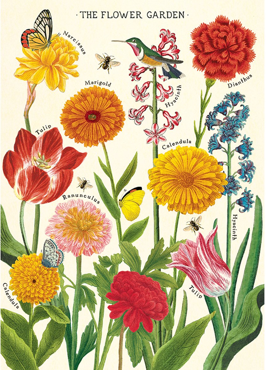 Cavallini & Co Poster Bloemen - Cavallini & Co - Schoolplaat Flower Garden Multi Color