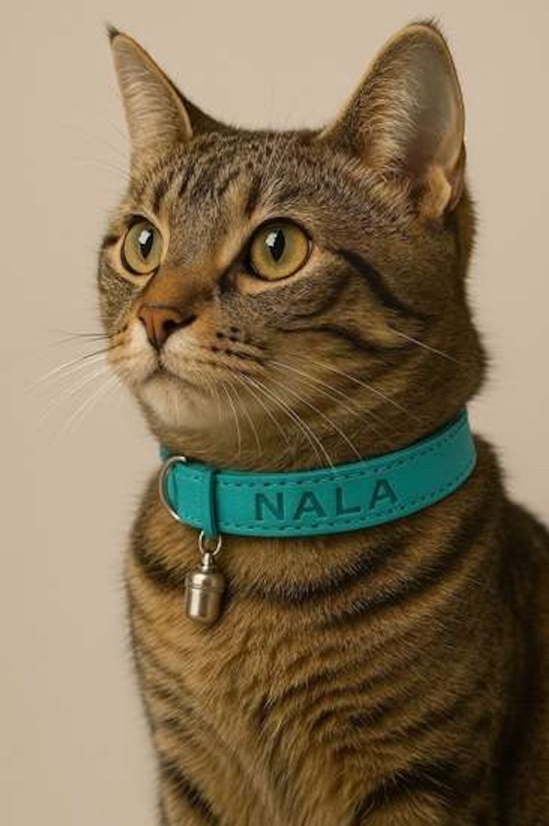 Gepersonaliseerde luxe turquoise leren kattenhalsband 15mm breed met bel-NaamopKado