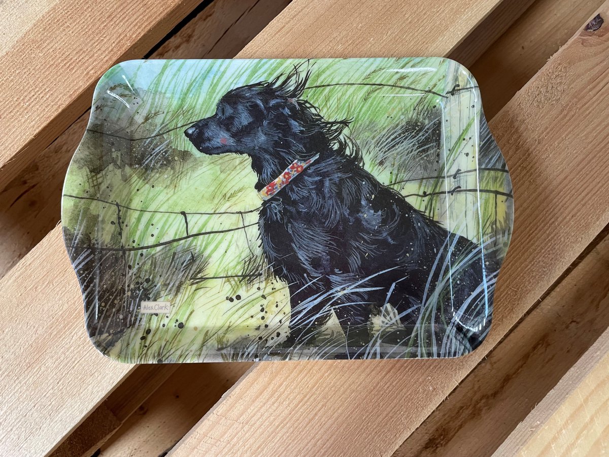 Alex Clark Dienblad Klein Formaat Hond ~ Melamine Tray Windswept