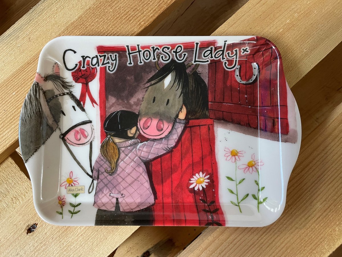 Alex Clark Dienblad Klein Formaat Paard ~ Melamine Tray Crazy Horse Lady