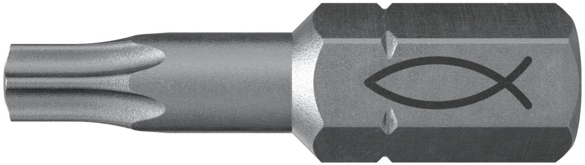 Fischer 10x ProfiBit FPB T 30 - 557849
