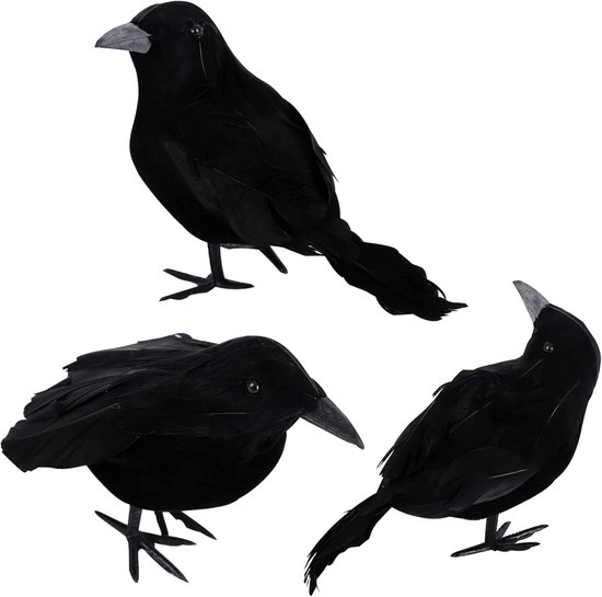 Halloween decoratie - Halloween 3 Pack kraaien kunstmatige gevederde kraaien realistische raaf vogels decoraties dier ornament griezelige zwarte veer kraai vogel voor Halloween partij Prop Indoor Outdoor Huis Tuin