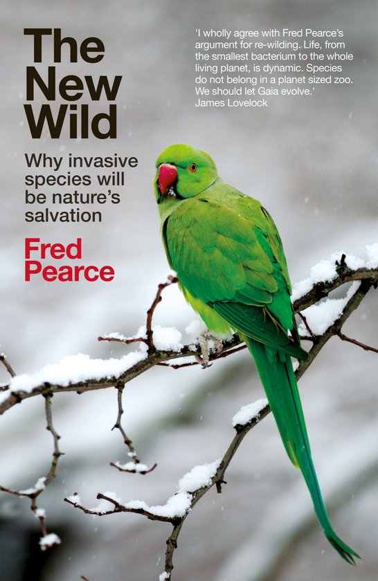 The New Wild - cover