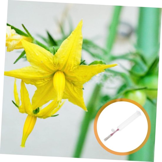 Bestuiving Pen - Professioneel Plantaardige Bestuiver Hulpmiddel - Praktisch Efficiënt - Voor De Bestuiving Van Bloemen Bestuivingstool - Aanbod Handmatige Bestuiver - tuin - Tuingereedschap - Voor Verschillende planten van Merkloos	 — afbeelding 3