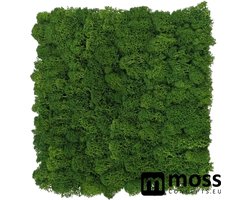 MOSS concepts Moswand paneel rendiermos mosgroen