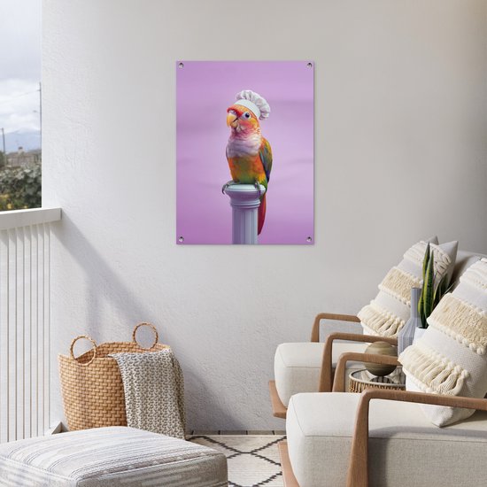 Tuinposter 60x80 cm - Tuindecoratie Papegaai - Koksmuts - Pilaar - Vogel - Poster voor in de tuin - Buiten decoratie - Schutting tuinschilderij - Tuindoek muurdecoratie - Wanddecoratie balkondoek