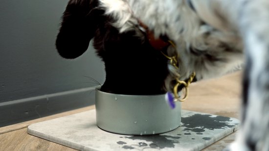 Minismus Drinkbak Hond Anti-Knoei met Sneldrogende Onderzetter - Voer- en Waterbak met Standaard voor Netjes Eten en Drinken