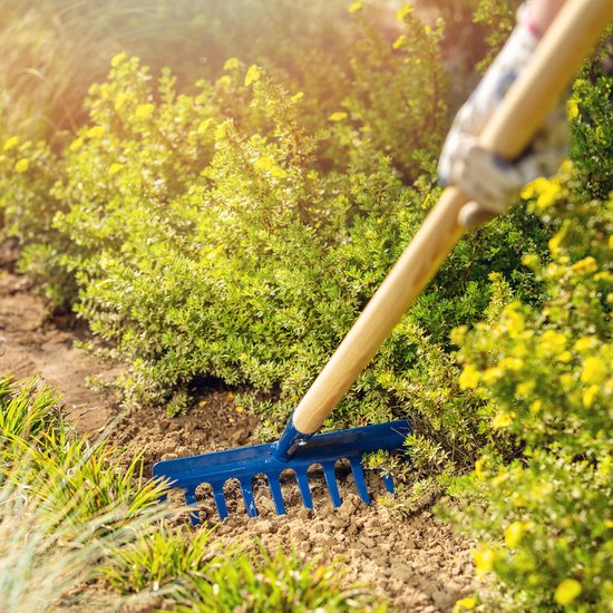 KADAX hark, brede hark met versterkte kop, metalen bladhark, bladhark met lange steel van hout, tuingereedschap voor wieden, bemesten, tuinhark voor gazon, bloemperken (10 tanden) van Merkloos	 — afbeelding 3
