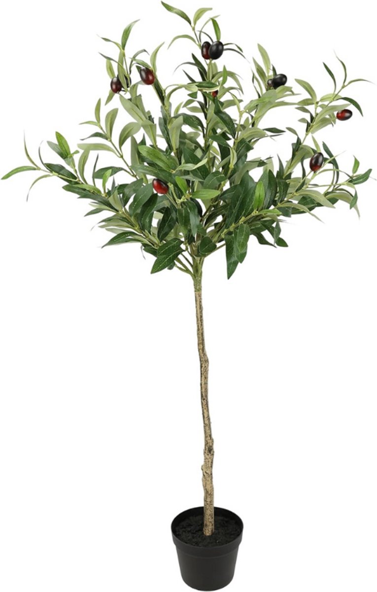 BOG Kunstolijfboom Met Zwarte Olijven - Mediterrane Kunstboom 80 Cm - Decoratieve Olijfboom Voor Binnen En Buiten - Toscaanse Sfeer Southern Country - Groene Kunstplant