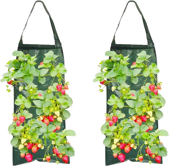 BLLREMIPSUR 3 stuks hangende plantenbakken kweekzakken, bloem aardbeien BLLREMIPSUR 3 stuks hangende plantenbakken kweekzakken, bloem aardbeien