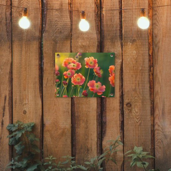 Tuinposter 40x30 cm - Tuindecoratie Bloemenveld - Zonnestralen - Oranje - Poster voor in de tuin - Buiten decoratie - Schutting tuinschilderij - Tuindoek muurdecoratie - Wanddecoratie balkondoek