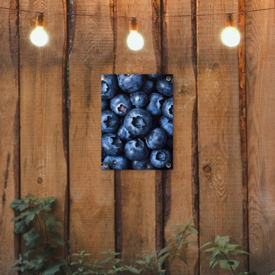 Tuinposter 30x40 cm - Tuindecoratie Bessen - Blauw - Fruit - Poster voor in de tuin - Buiten decoratie - Schutting tuinschilderij - Tuindoek muurdecoratie - Wanddecoratie balkondoek