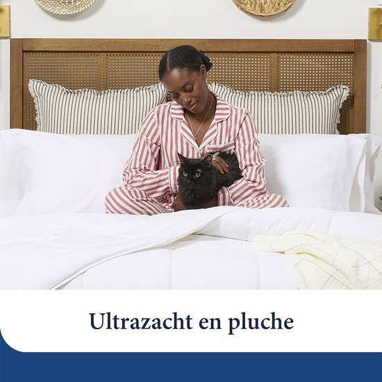 FABSY Seersucker Dekbed - Ademend en Lichtgewicht voor Zomer 155 x 220 cm - 200g/m2 Microvezel Met Reliëf - Wasbaar FABSY Seersucker Dekbed - Ademend en Lichtgewicht voor Zomer 155 x 220 cm - 200g/m2 Microvezel Met Reliëf - Wasbaar