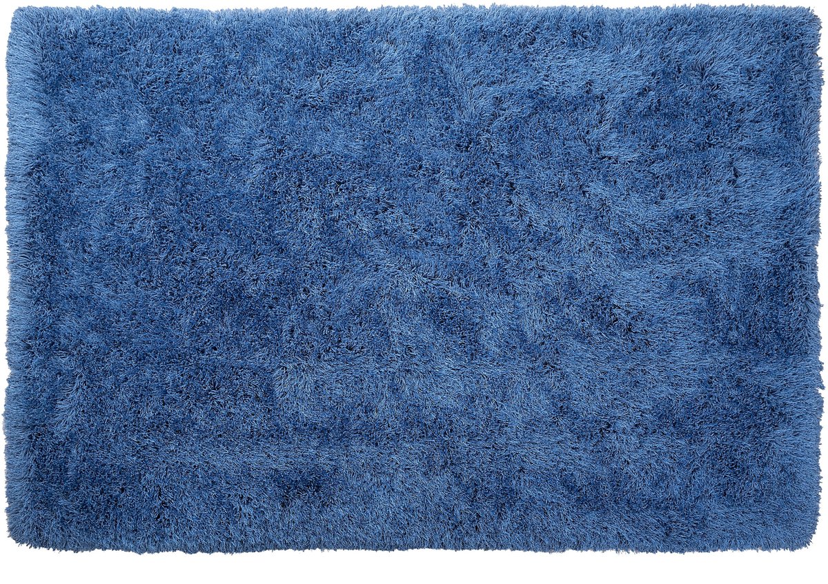 CIDE - Shaggy vloerkleed - Blauw - 200 x 300 cm - Polyester