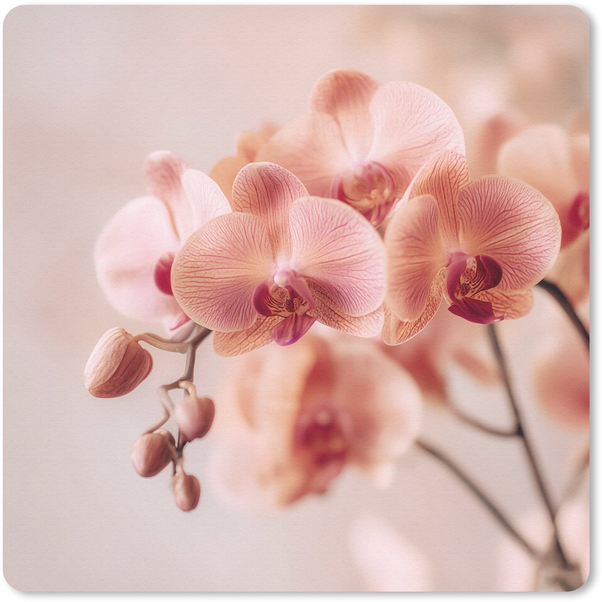 Muismat 20x20 cm - Mousepad Orchidee - Bloemen - Roze - Bloemblaadjes - Muismatten