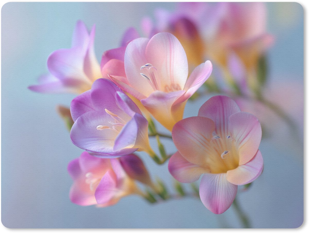 Muismat 23x19 cm - Mousepad Bloemen - Paars - Overloop - Meeldraden - Muismatten