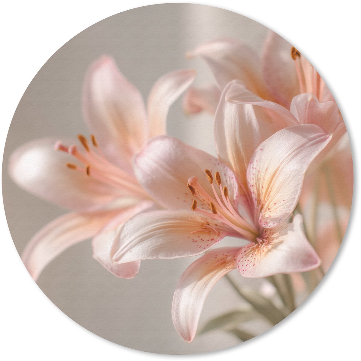 Muismat rond 20x20 cm - Mousepad Lelies - Meeldraden - Roze - Wazig - Ronde muismatten