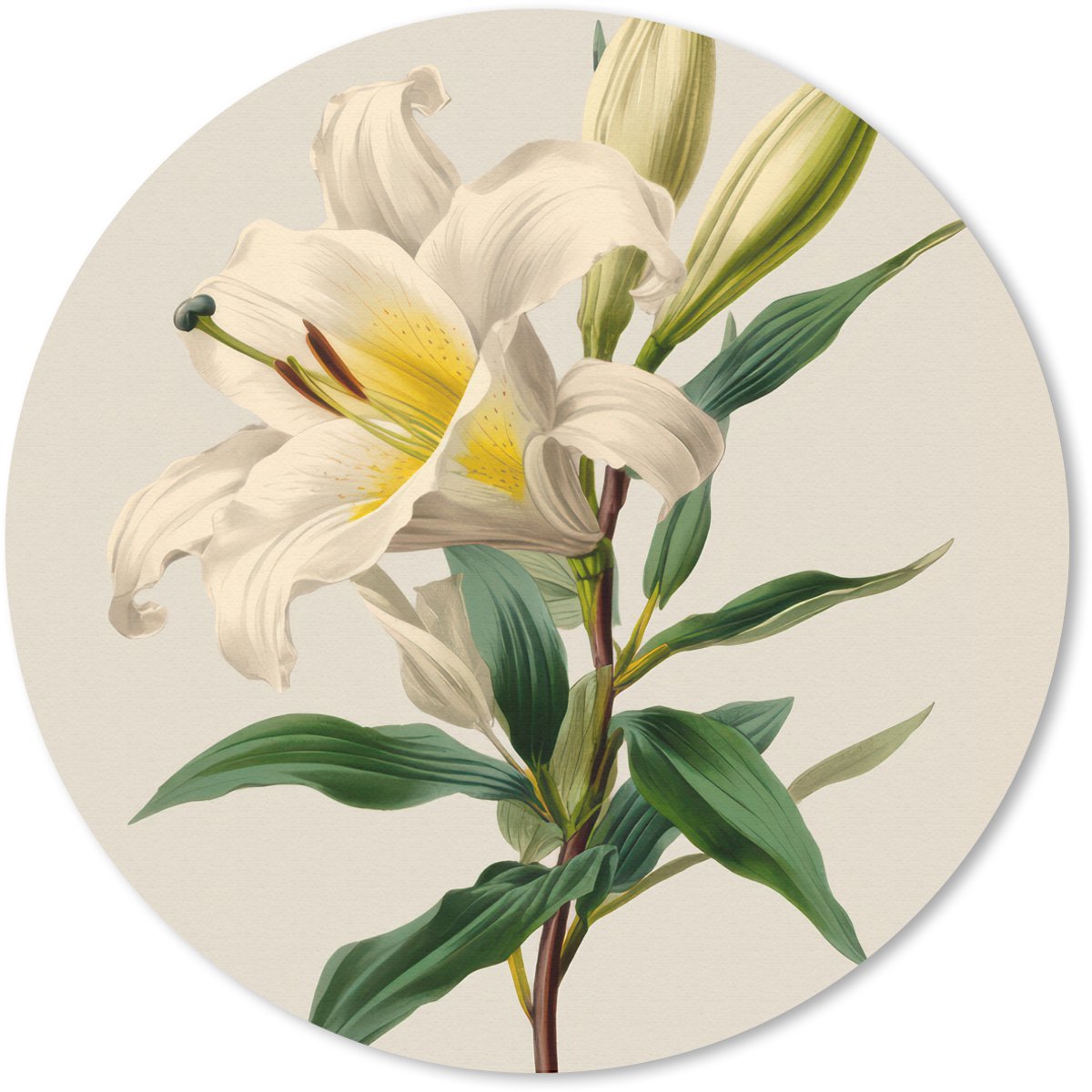 Muismat rond 40x40 cm - Mousepad Lelie - Elegant - Botanisch - Beige - Ronde muismatten