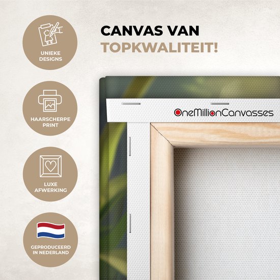 Peinture sur toile 80x120 cm - Décoration murale chambre d'enfant Canetons - Animaux - Nature - Décoration murale murale chambre bébé - Décoration chambre garçon et fille - Accessoires Bébé - Peintures