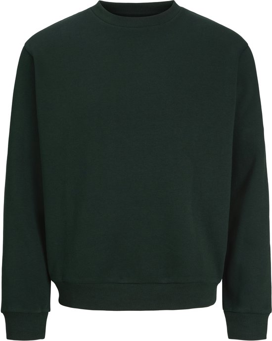 Donkergroene, effen sweater met ronde hals en lange mouwen.