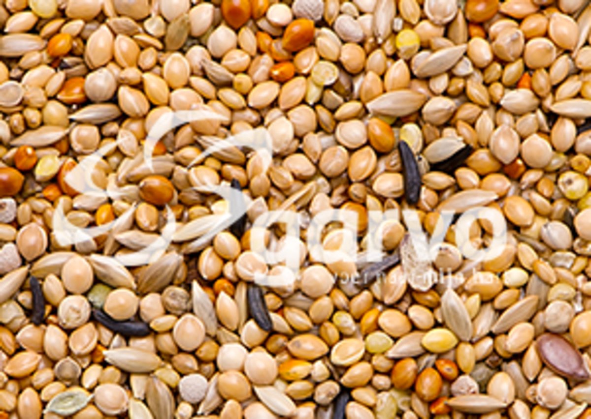 Garvo 3838 Tropical Gold - 2,5 kilo - Vogelvoer - Vogelzaad - Gouldamadine (Chloebia gouldiae) - Overige zaden