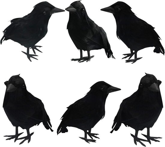 6 stuks - Halloween-decoraties - Halloween zwarte gevederde kraaien - Levensechte Halloween decoratieve vogels - Zwart