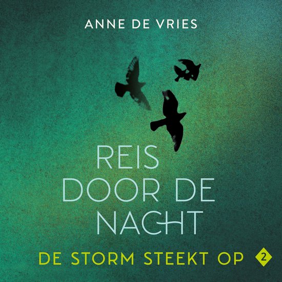 De storm steekt op - cover