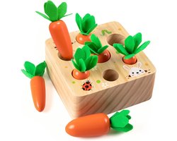 Houten speelgoed vanaf 1 jaar, stimuleert de baby-motoriek, vanaf 12 maanden, voor jongens en meisjes, Montessori-sorteerspel, houten puzzel, educatief speelgoed voor kinderen, cadeau-idee
