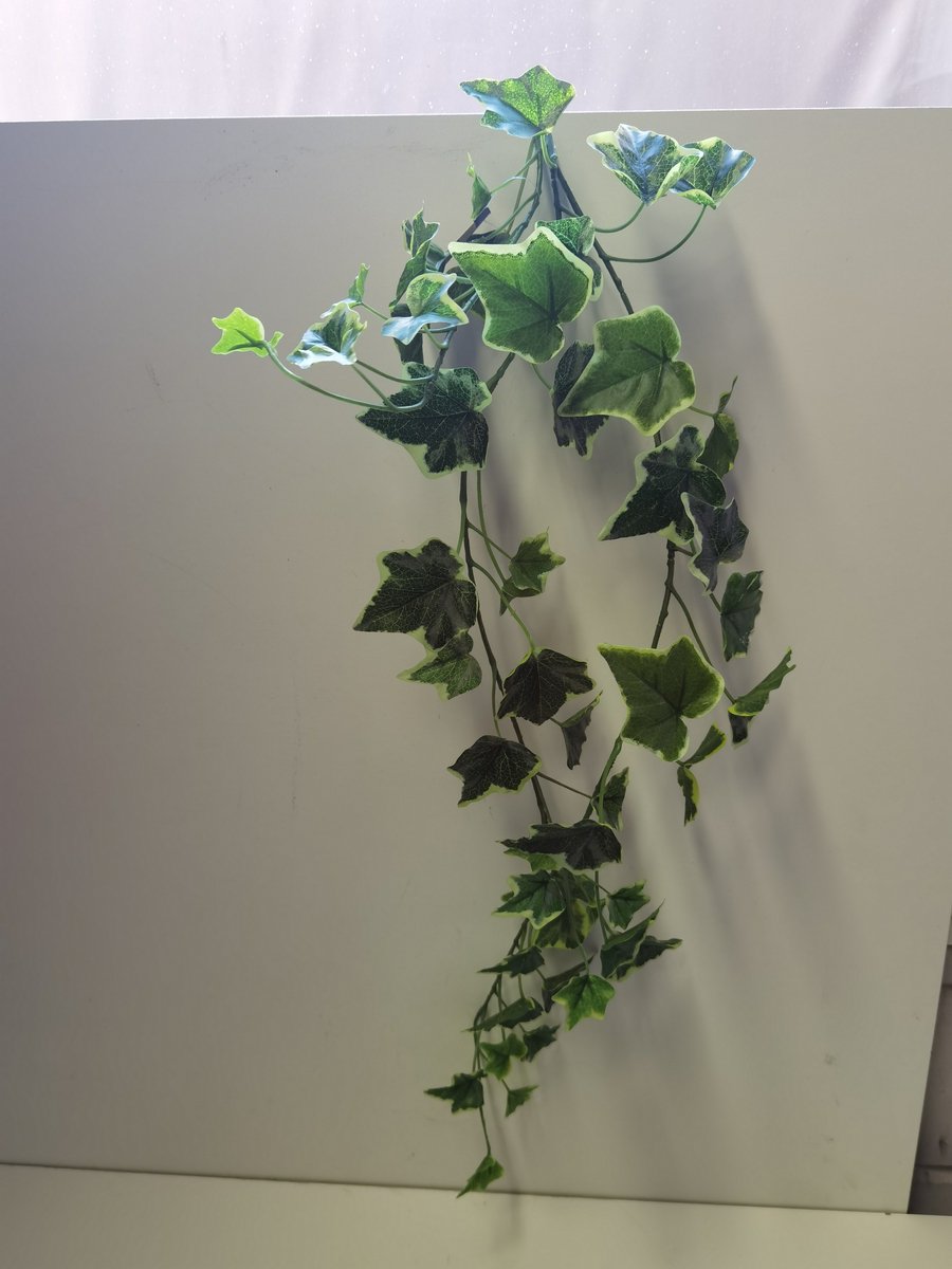 Decostar Kunst tak - Hang tak - Hedera Chicago - Chicago hanger - Groen - Geel - 80x20cm.