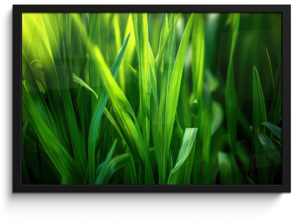FrameYourWall Poster in lijst - Fotolijst 60x40 cm - Posters - Grassprieten - Lichtinval - Groen - Posterlijst zwart - Decoratie - Wanddecoratie woonkamer - Muurdecoratie slaapkamer
