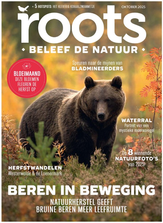 Roots editie 10 - 2025