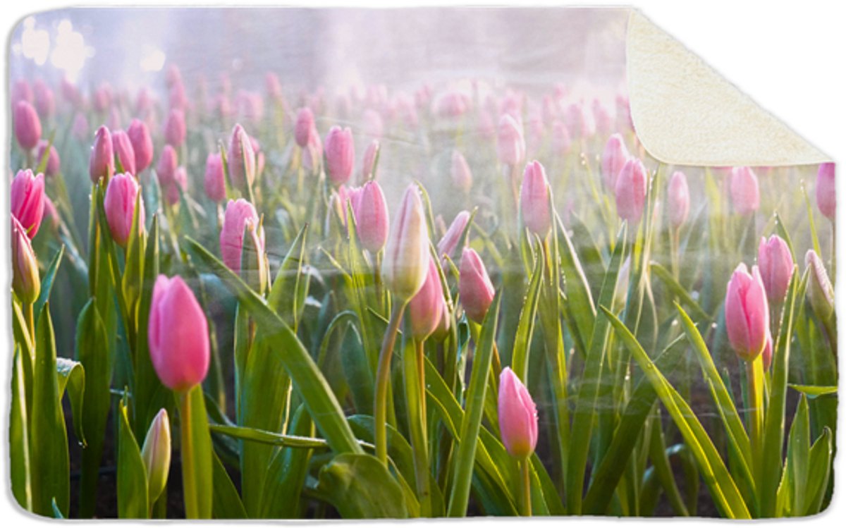 Fleecedeken Tulpen, 96x146cm, Polyester Sherpa, FD2025021