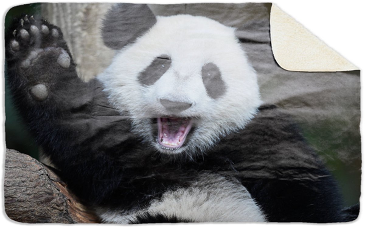 Fleecedeken Panda2, 96x146cm, Polyester Sherpa, FD2025015