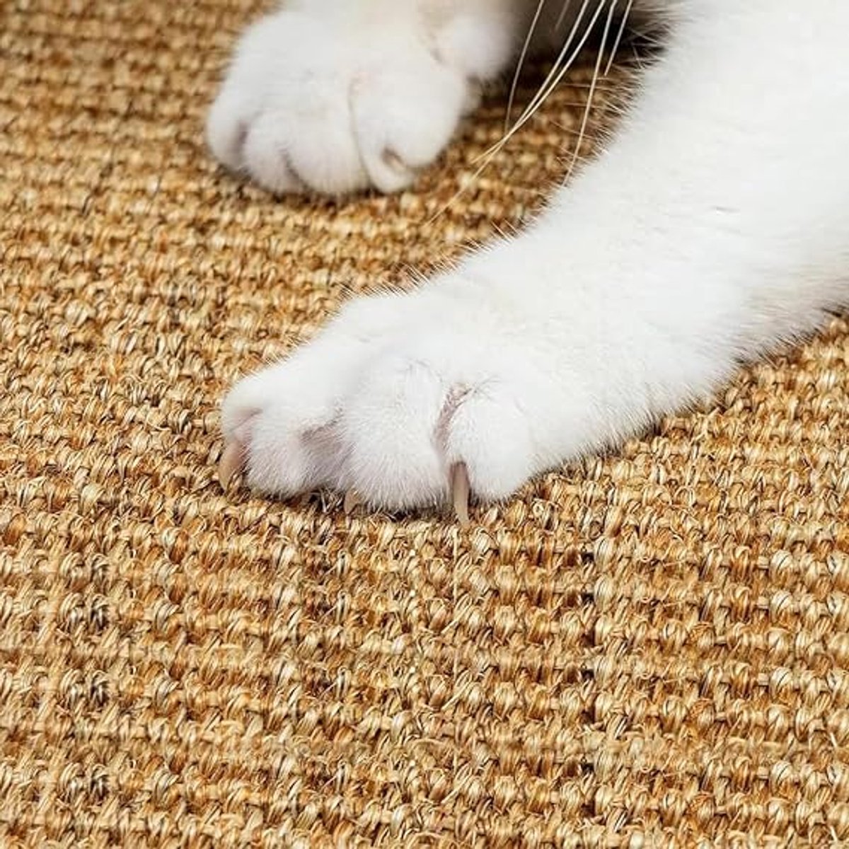 Kattenkrabmat, natuurlijke sisalmat, 40 x 60 cm, antislip en slijtvaste hoekkrabmat, kattenkrabvloer sisal tapijt, originele kleur