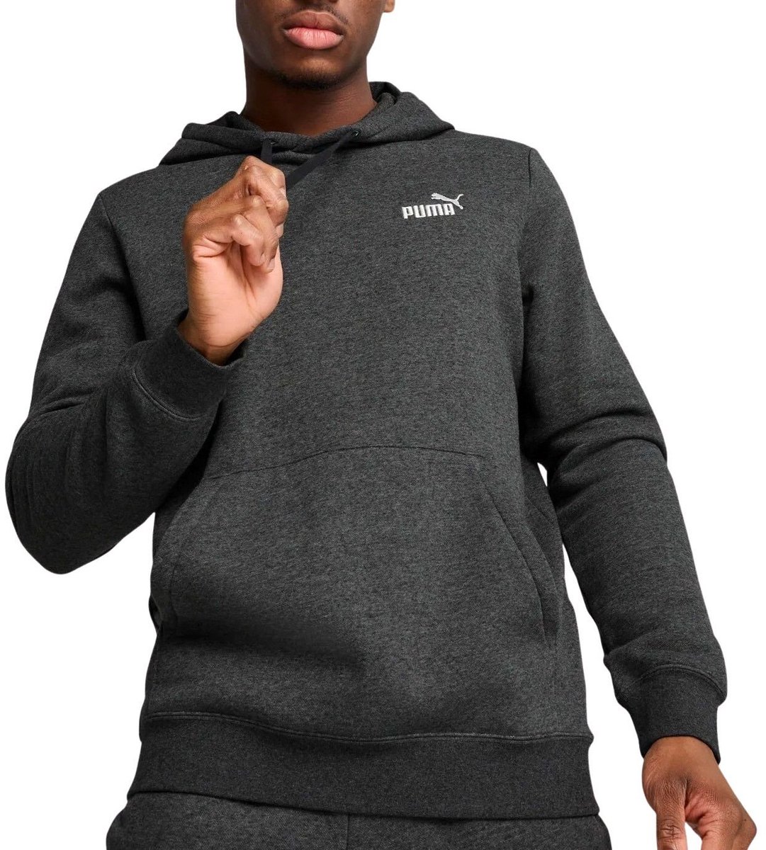 Puma Essentials Small No. 1 Logo Fleece Hoodie Heren Grijs