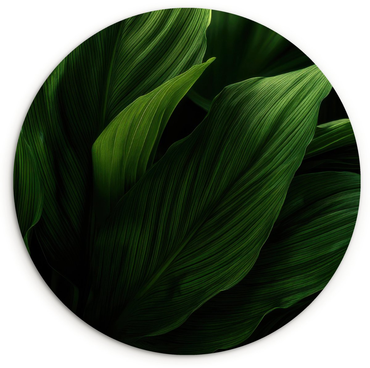 WallCircle Wandcirkel 60x60 cm - Muurcirkel Bladeren - Schaduw - Groen - Textuur - Muurdecoratie woonkamer - Wanddecoratie slaapkamer - Kamer decoratie accessoires - Ronde schilderijen Bladeren - Textuur