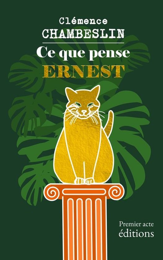 Ce que pense ERNEST - cover