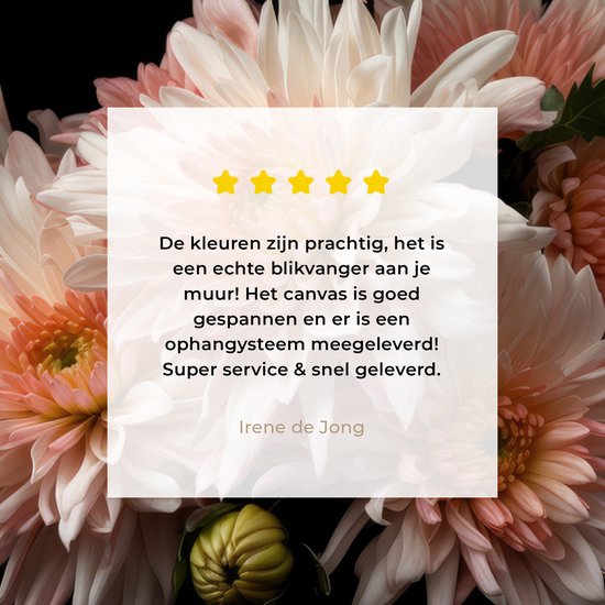 Tableau sur toile Chrysanthème - Fleurs - Wit - Nature - Zwart - 120x160 cm - Décoration murale XXL