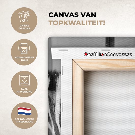 Peinture sur toile - Animaux sauvages - Zebra - Mur - Porte - Décoration murale - Toile - 20x40 cm - Tableau sur toile - Décoration de la maison