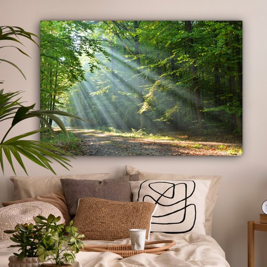 Zonnestralen door het bladerdak boven een bosweg, in een slaapkamer boven een bed.